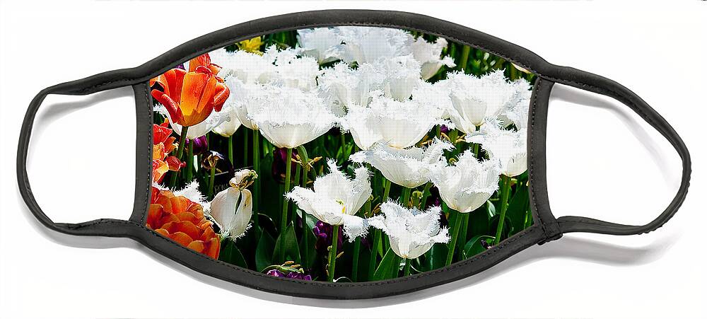 Tulip Face Mask featuring the photograph Tulip Bed by Shijun Munns