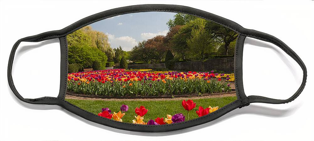 Cantigny Face Mask featuring the photograph Tulip Time by Patty Colabuono