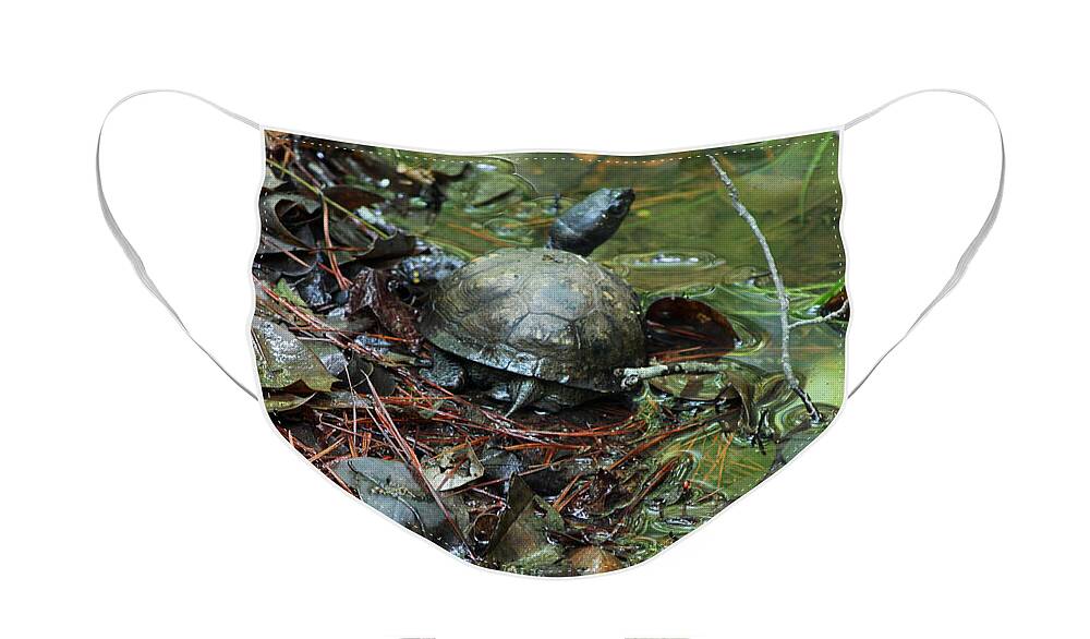 Turtle Face Mask featuring the photograph Turtle Soup II by Suzanne Gaff