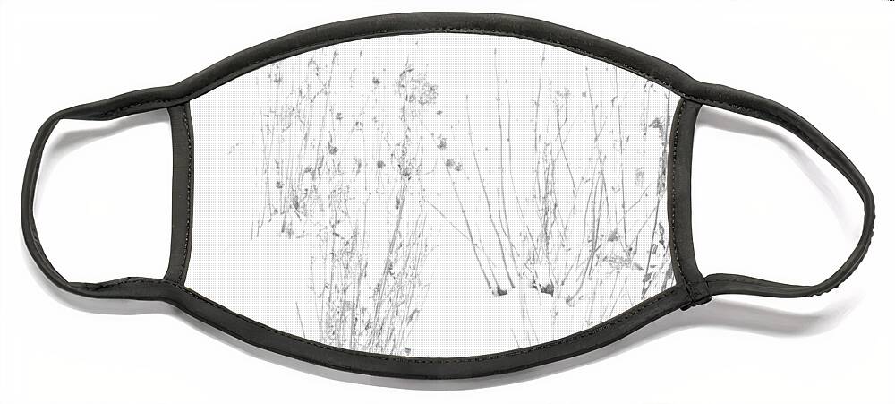 Black And White Image Face Mask featuring the photograph Weeds in Snow by Valerie Collins