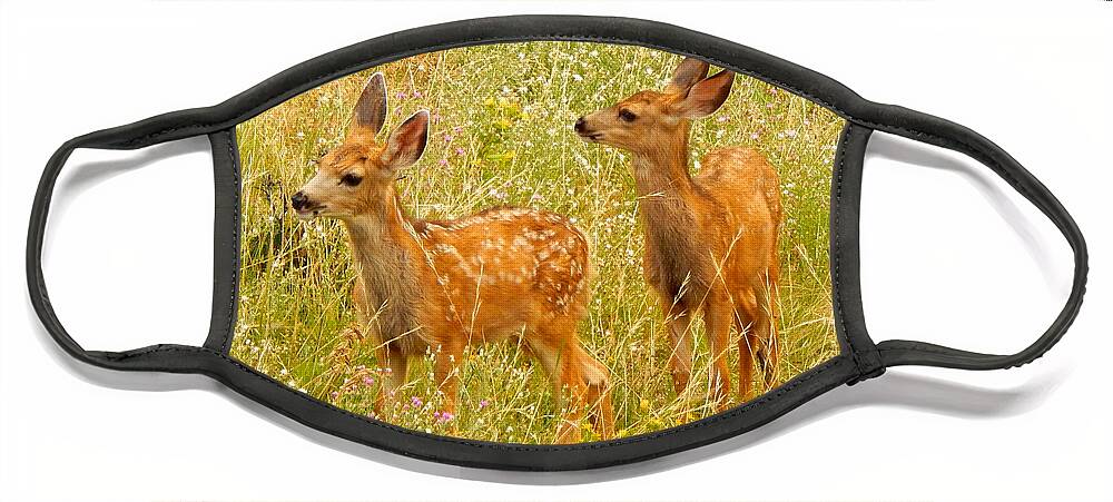 Photo Face Mask featuring the photograph Twin Fawns by Dan Miller