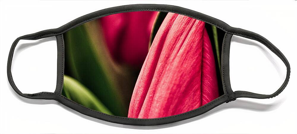 Beautiful Face Mask featuring the photograph Twin Tulips by Venetta Archer