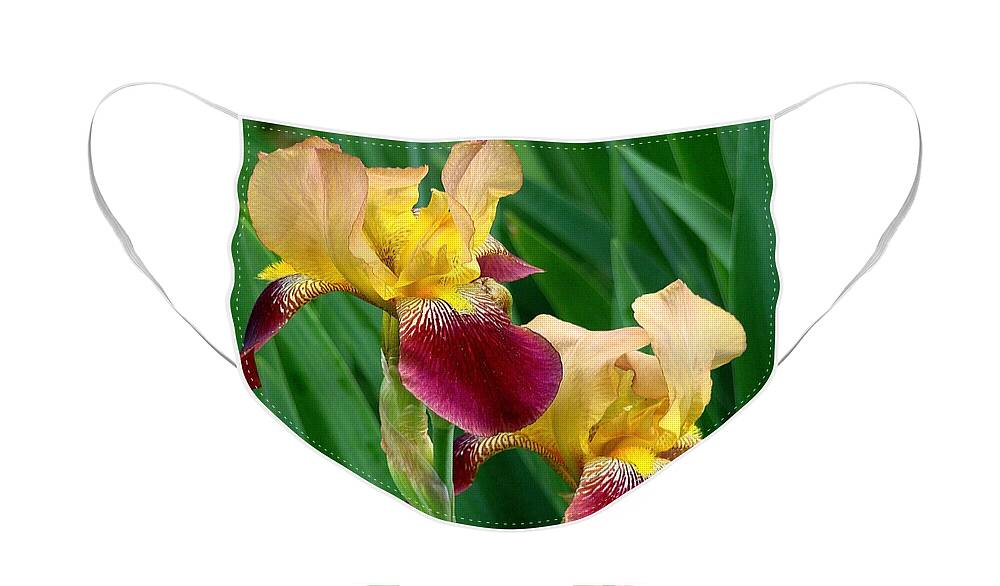 Fine Art Face Mask featuring the photograph Two Iris by Rodney Lee Williams