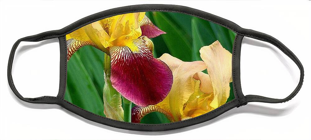 Fine Art Face Mask featuring the photograph Two Iris by Rodney Lee Williams
