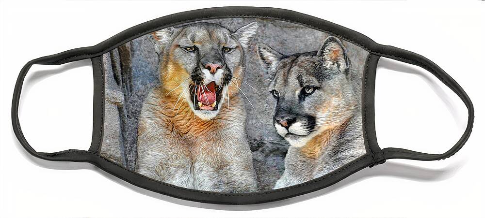 Two Of A Kind Face Mask featuring the photograph Two of a Kind by Savannah Gibbs