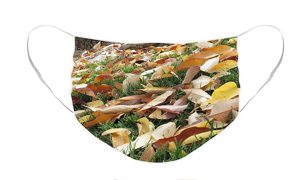 Fall Leaves Face Mask featuring the photograph Underfoot by Jessica Myscofski