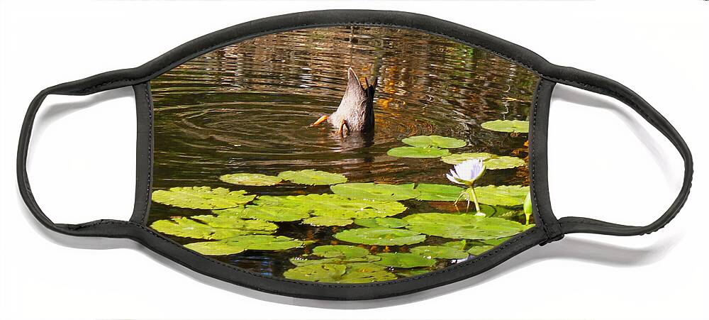 Duck Face Mask featuring the photograph Upside Down Down Under by Susan Vineyard