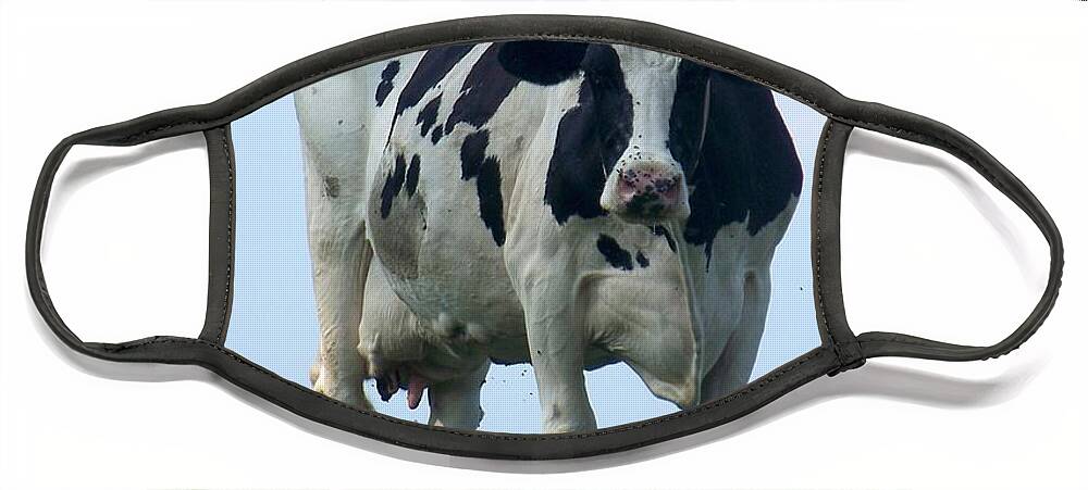 Cows Face Mask featuring the photograph Vermont Dairy Cow by Eunice Miller