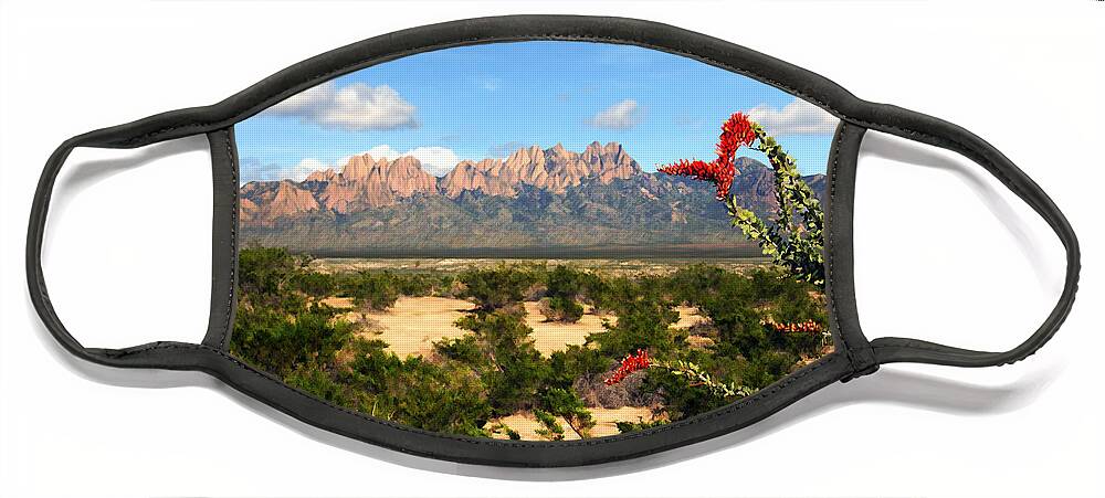 Organ Mountains Face Mask featuring the photograph View from Roadrunner by Kurt Van Wagner