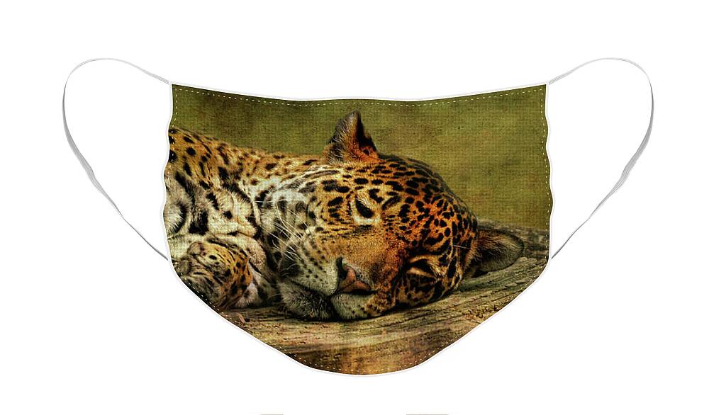 Leopard Face Mask featuring the photograph Wake Up Sleepyhead by Lois Bryan