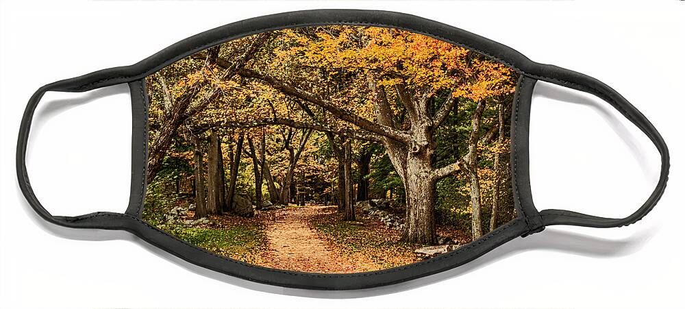 Autumn Foliage New England Face Mask featuring the photograph Walk in the woods by Jeff Folger