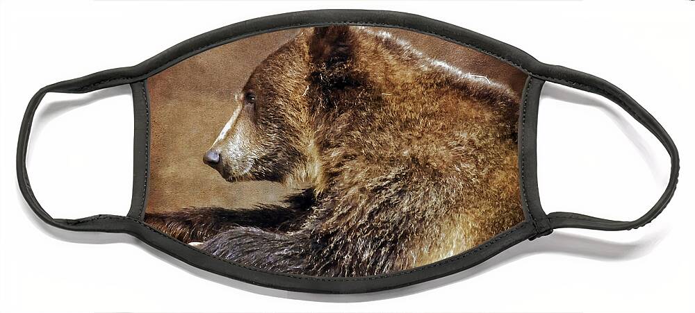 Bears Face Mask featuring the photograph Wandering by Elaine Malott