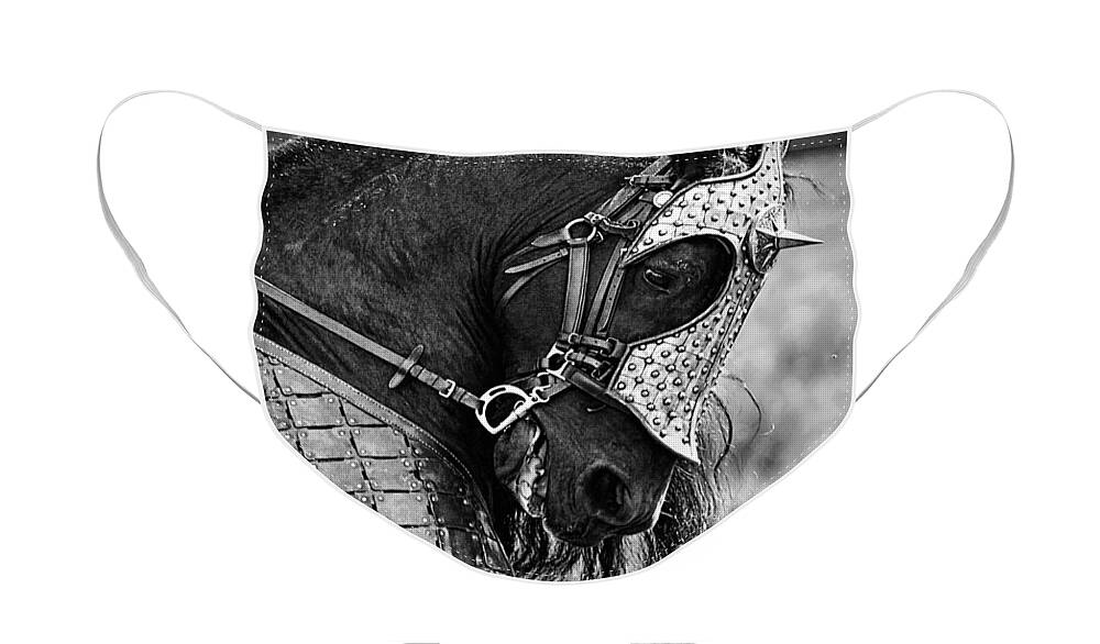 Warrior Horse Face Mask featuring the photograph Warrior Horse by Wes and Dotty Weber