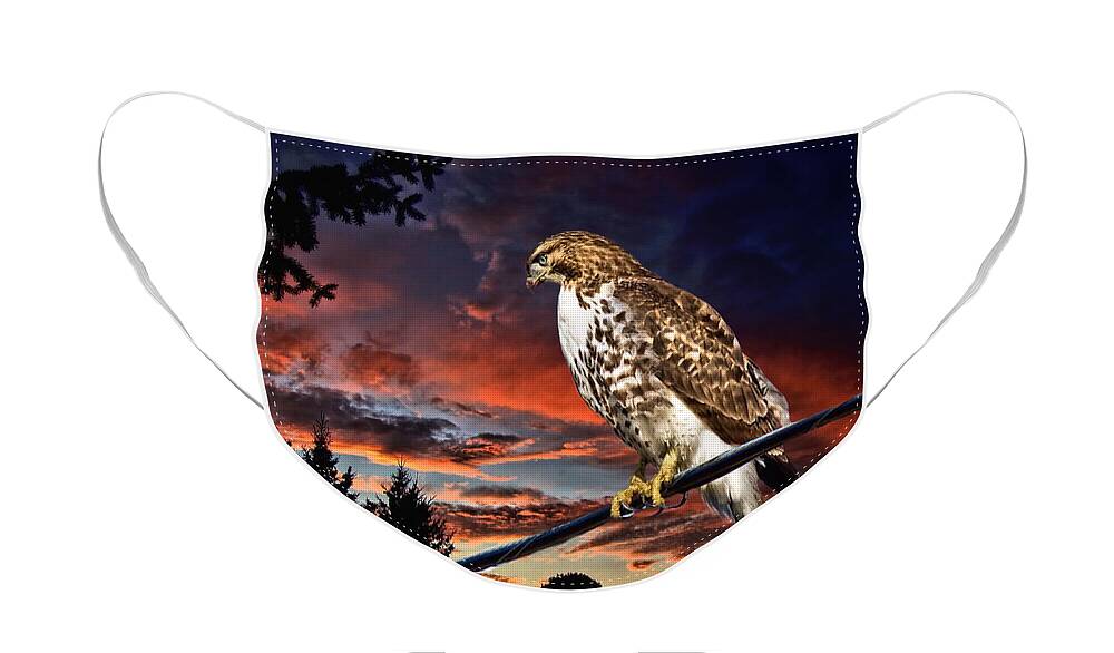 Bird Of Prey Face Mask featuring the photograph Watching the Sun Set by Andrea Kollo