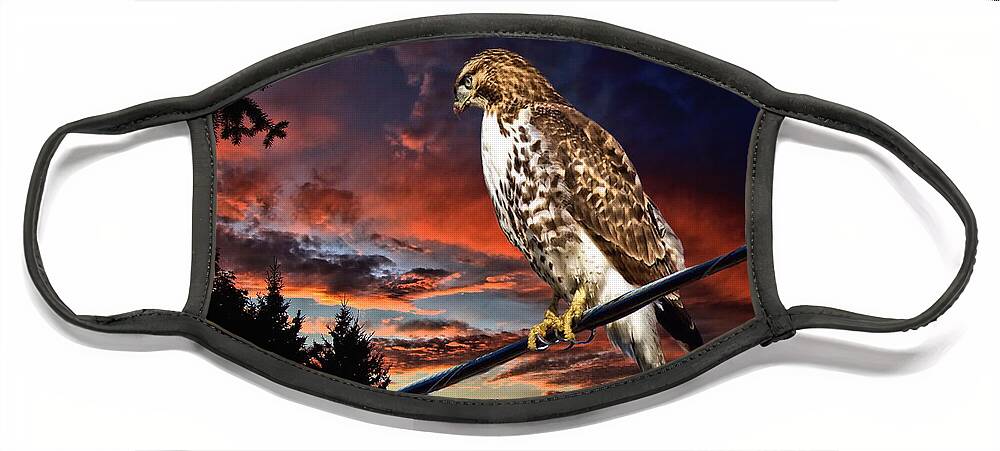 Bird Of Prey Face Mask featuring the photograph Watching the Sun Set by Andrea Kollo