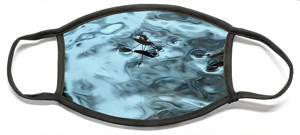 Water Spiders Face Mask featuring the photograph Water Spiders by Wayne Enslow