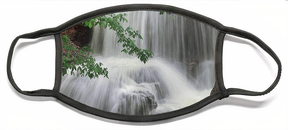 Tim Fitzharris Face Mask featuring the photograph Waterfall Tanyard Creek Bella Vista by Tim Fitzharris