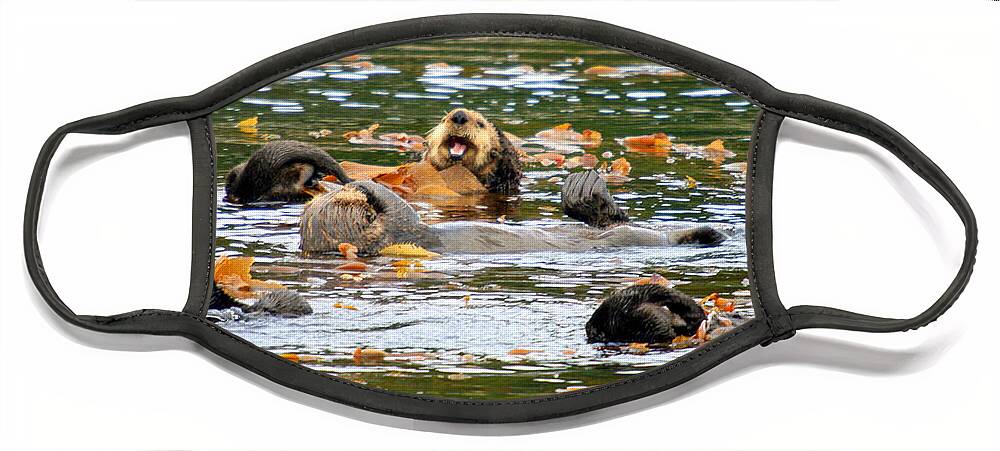 Wildlife Face Mask featuring the photograph We otter be in pictures by Bob Hislop