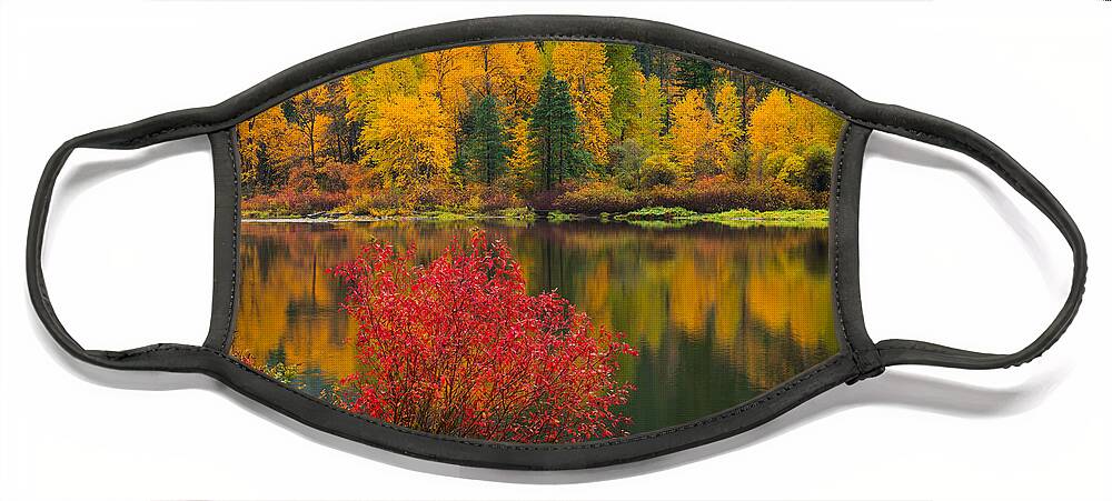 Fall Face Mask featuring the photograph Wenatchee River Reflections by Dan Mihai