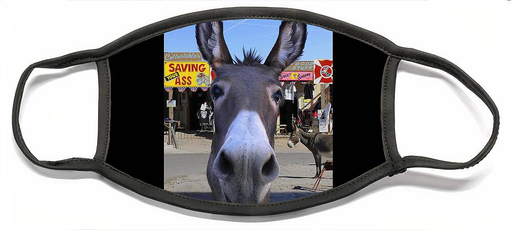 Donkey Face Mask featuring the photograph What . . . No Carrots by Mike McGlothlen