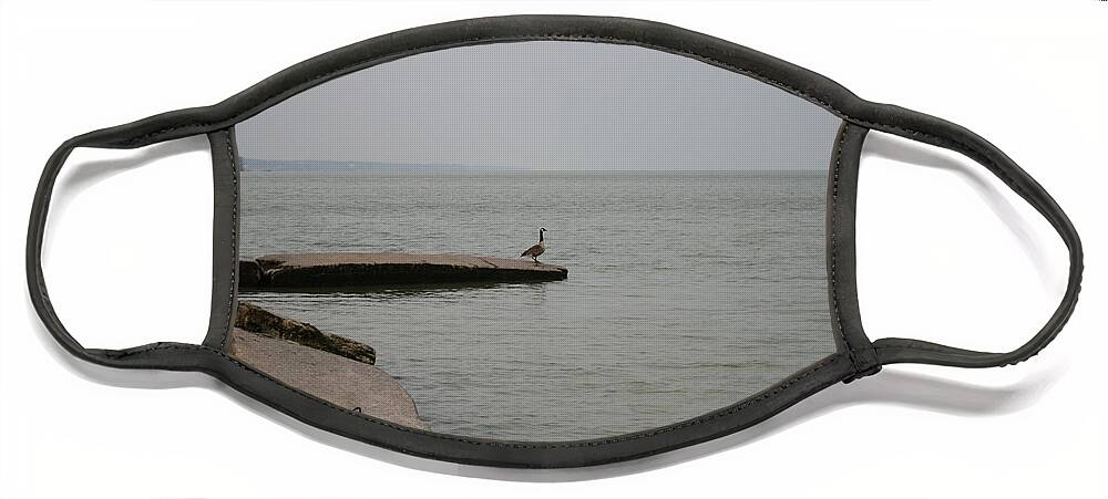 Canadian Geese Face Mask featuring the photograph Solitude on Lake Erie by Valerie Collins