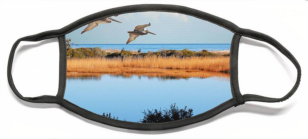 Pelicans Face Mask featuring the photograph Where The Marsh Meets The Atlantic by Kathy Baccari