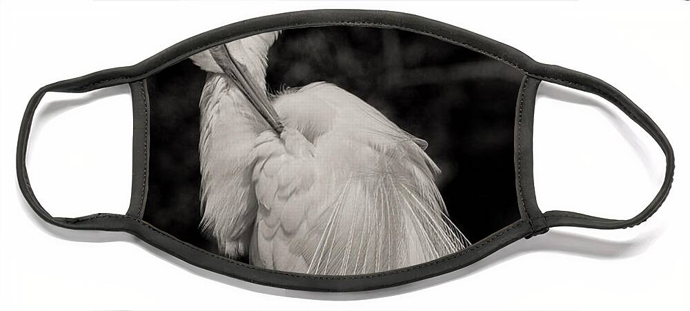 Giant Egret Face Mask featuring the photograph Whispy and Delicate by Deborah Benoit