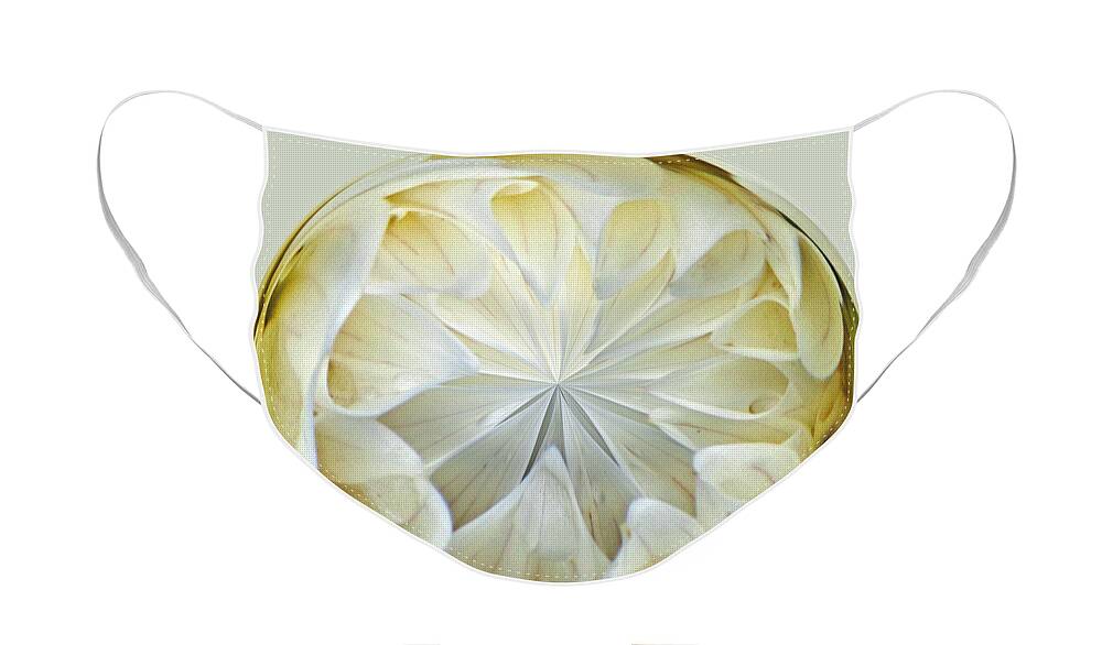 Design Face Mask featuring the photograph White Dahlia Orb by Tikvah's Hope