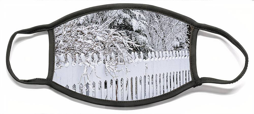 Winter Face Mask featuring the photograph White fence with winter trees by Elena Elisseeva