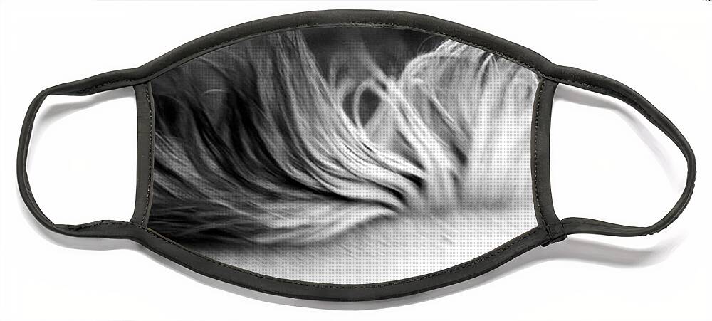 Rtf Ranch Face Mask featuring the photograph White Mare Mane Number One Close Up Panoramic Black and White by Heather Kirk