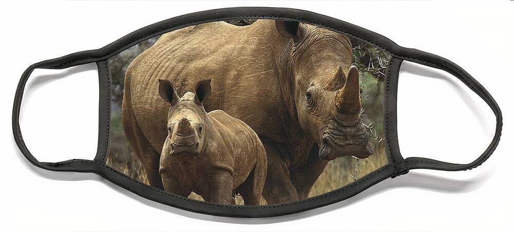 Feb0514 Face Mask featuring the photograph White Rhinoceros And Baby Lewa Kenya by Gerry Ellis