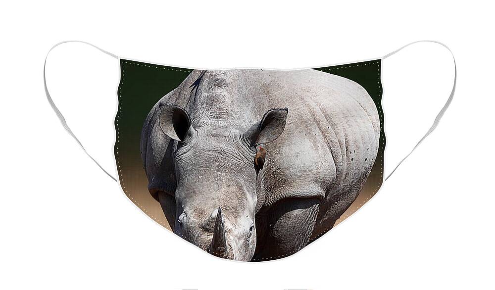 Rhinoceros Face Mask featuring the photograph White Rhinoceros front view by Johan Swanepoel