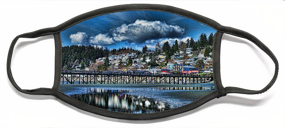 Beaches Face Mask featuring the photograph White Rock BC by Randy Harris