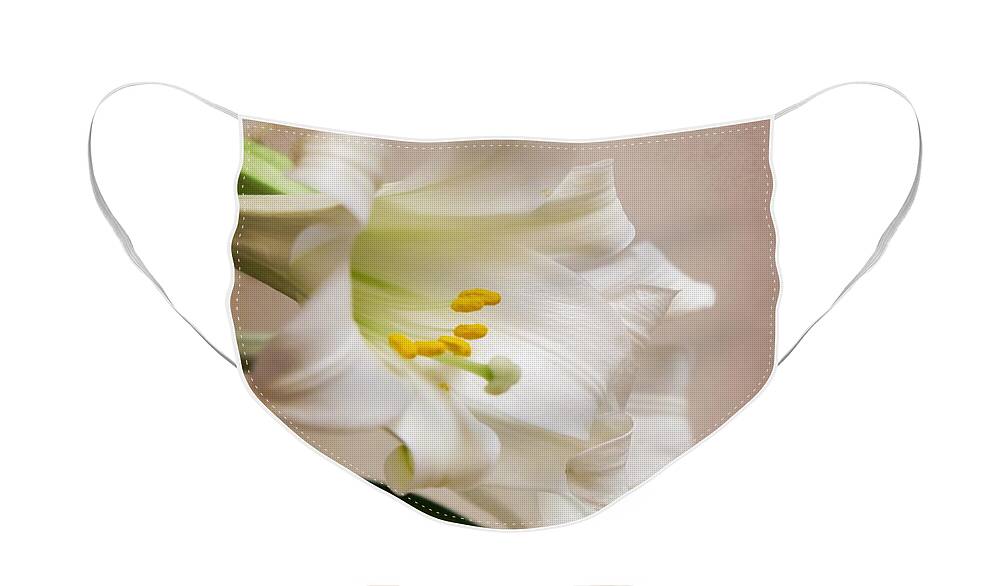 Catholic Face Mask featuring the photograph White Softness by Lucinda Walter