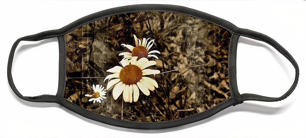 Wild Daisies Face Mask featuring the photograph Wild Daisies by Bellesouth Studio