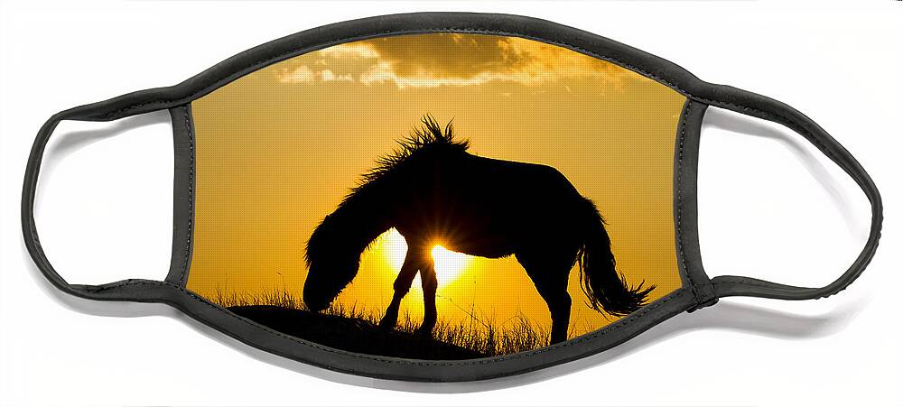 Horse Face Mask featuring the photograph Wild Horse and Setting Sun by Bob Decker