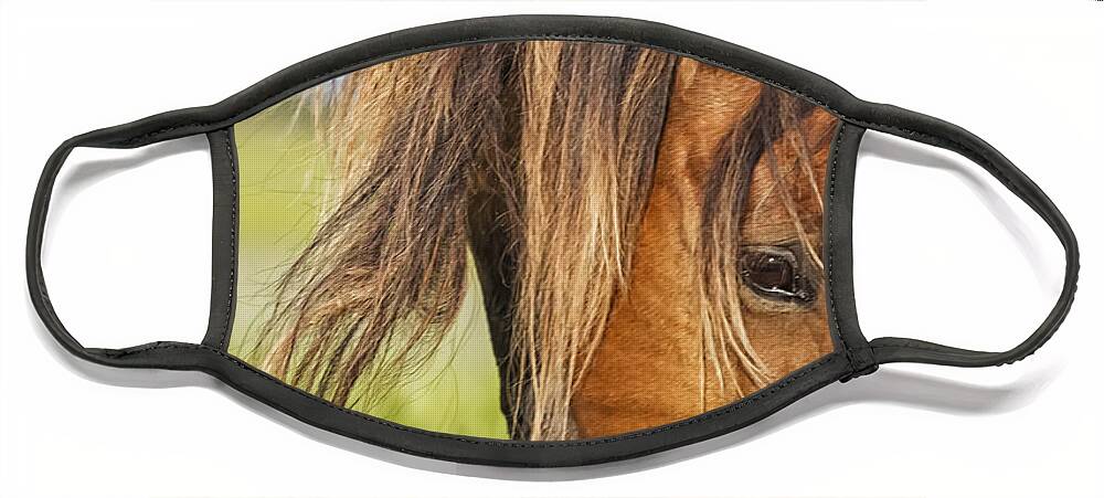 Wild Horse Face Mask featuring the photograph Wild Horse Grazing by Bob Decker