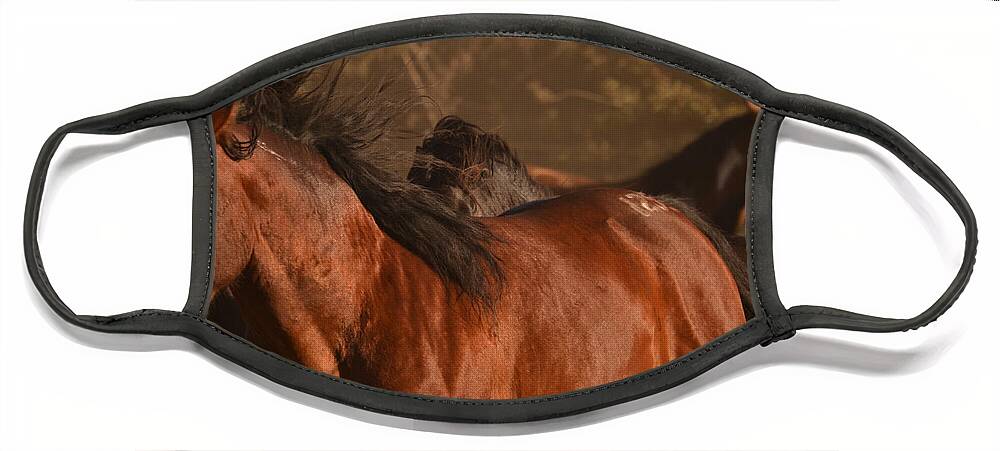 Rtf Ranch Face Mask featuring the photograph Wild Horse Stampede Muted by Heather Kirk