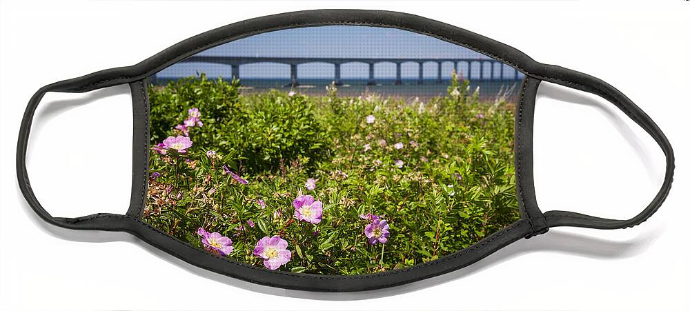 Wild Face Mask featuring the photograph Wild roses at Confederation Bridge by Elena Elisseeva