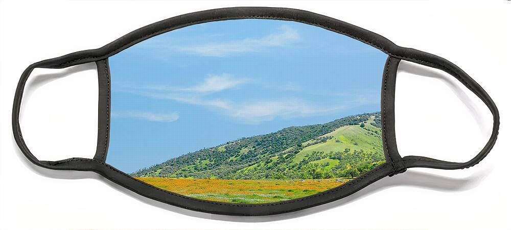 Tejon Ranch Face Mask featuring the photograph Afternoon Delight - Wildflowers and Cirrus Clouds by Ram Vasudev