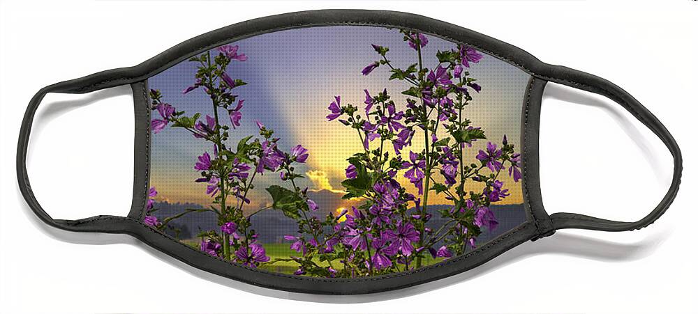 Appalachia Face Mask featuring the photograph Wildflowers by Debra and Dave Vanderlaan