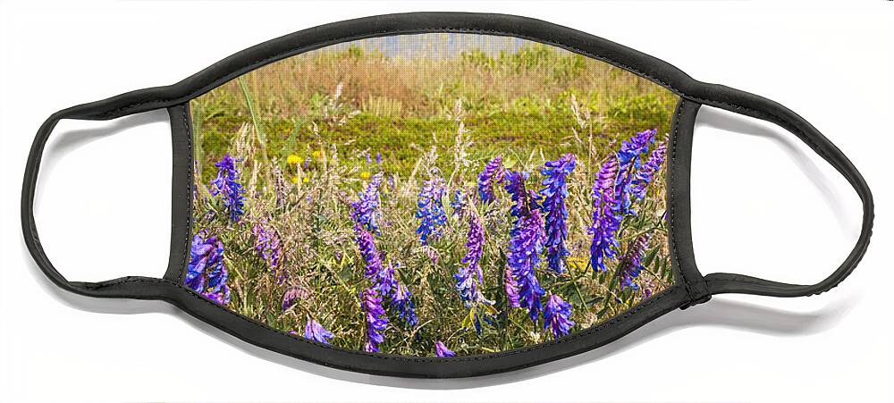 Wildflowers Face Mask featuring the photograph Wildflowers on ocean coast by Elena Elisseeva