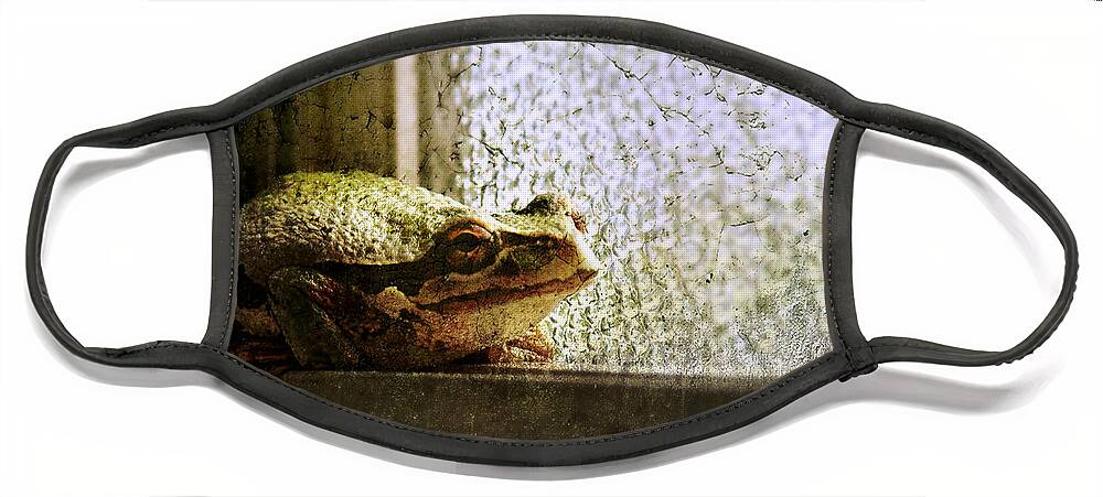 Frog Face Mask featuring the photograph Windowsill Visitor by Micki Findlay