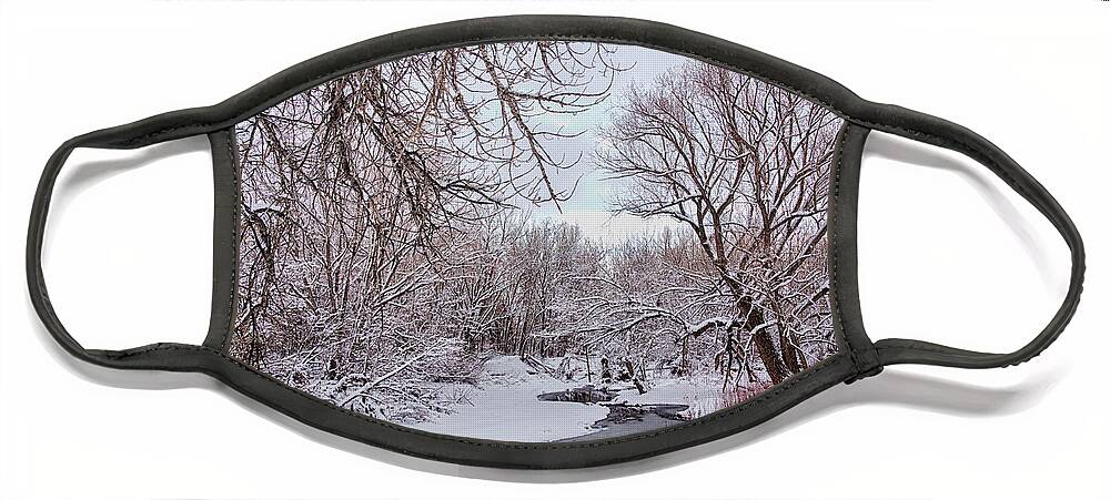 Winter Face Mask featuring the photograph Winter Creek by James BO Insogna