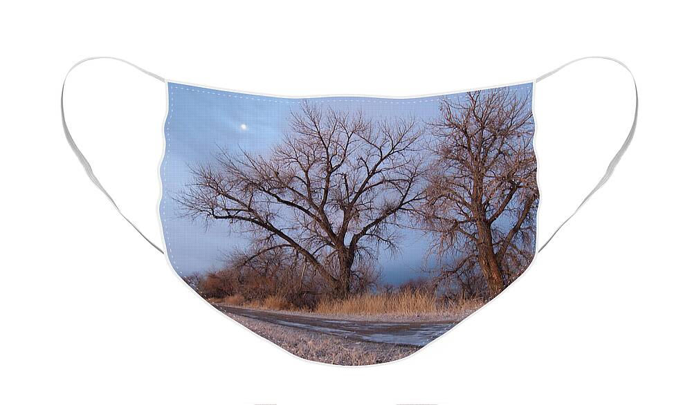 Winter Face Mask featuring the photograph Winter Dawn Moon and Tree Landscape by Cascade Colors
