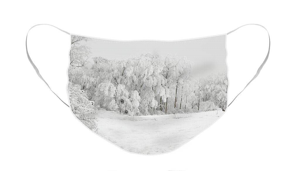 Hoar Face Mask featuring the photograph Winter Doe by Mary Jo Allen