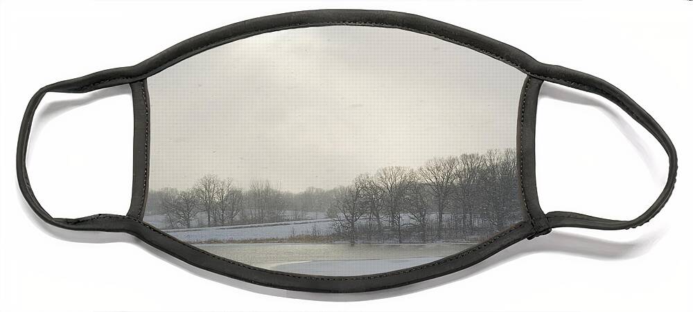 Scenic Face Mask featuring the photograph Winter Lake and Forest by Lynn Hansen