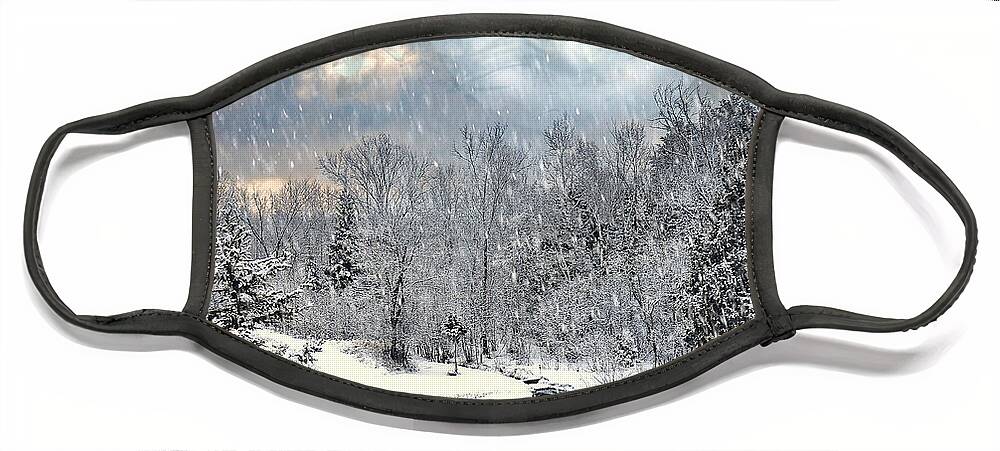 Winter Picture Face Mask featuring the photograph Winter Mystic Night by Gwen Gibson