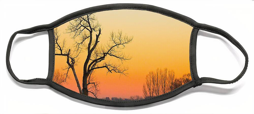 Tree Face Mask featuring the photograph Winter Season Country Sunset by James BO Insogna
