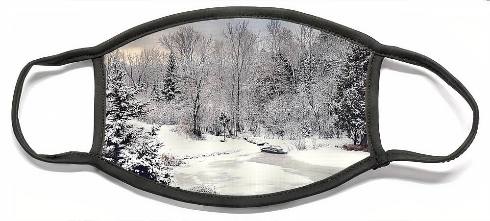 Winter Wonderland Picture Face Mask featuring the photograph Winter Solace by Gwen Gibson